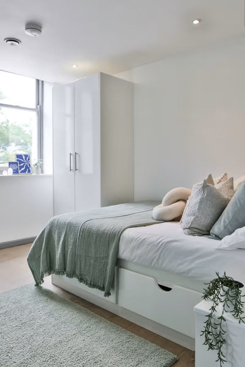 Classic Shared Apartment